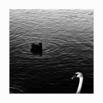 IMG_20230906_180038W